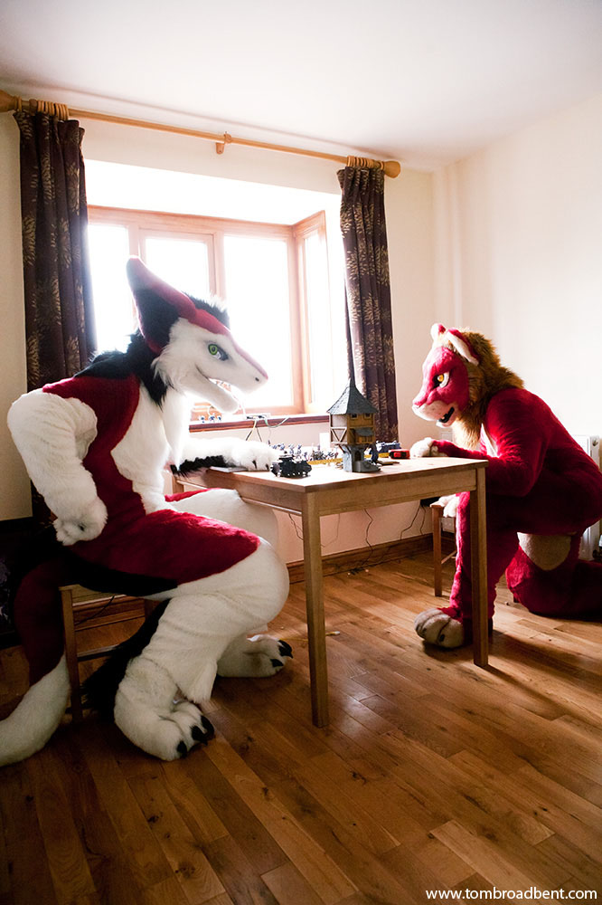Jester and Red. Jester is a sergal, a mythical creature and Red is a lion. They live in Sheffield