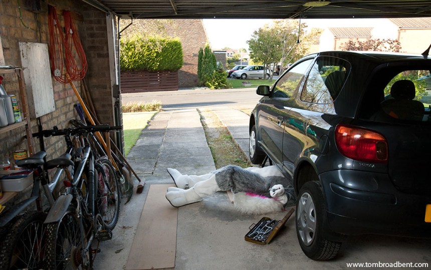 Lupestripe, a wolf working on his car. Lupestripe, works as a journalist in Middlesborough. He takes part in lots of charity events