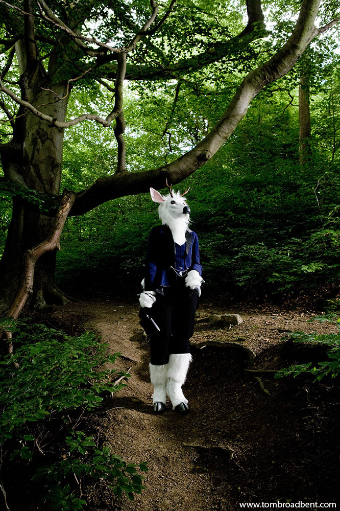 Moon, a deer in her local woods in Sheffield