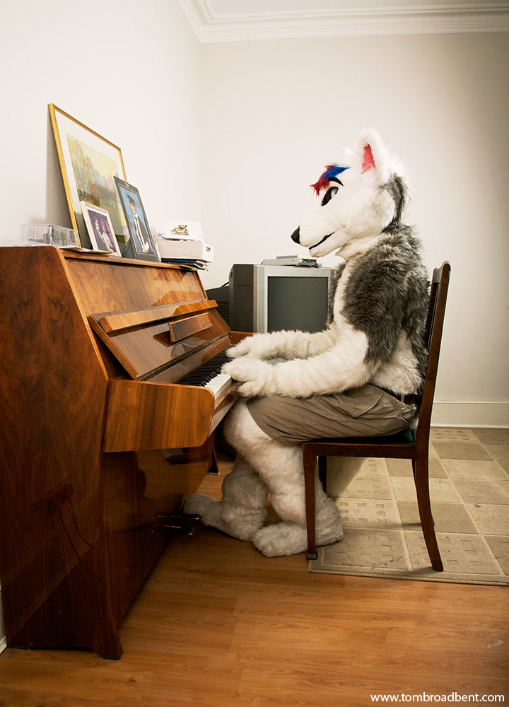 Smirnoff is a husky wolf hybrid, he lives in North London. He works as an actor and director