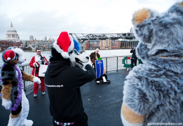 Walking With The Furries