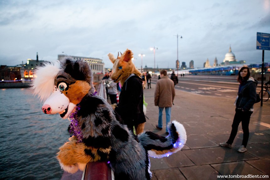 heading home..nice tail though