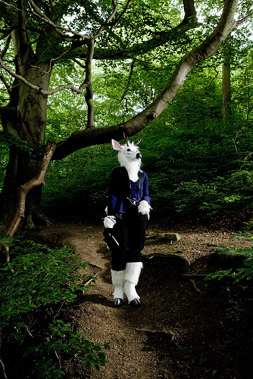 At Home With The Furries