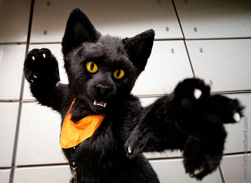 London Furries Winter Ball