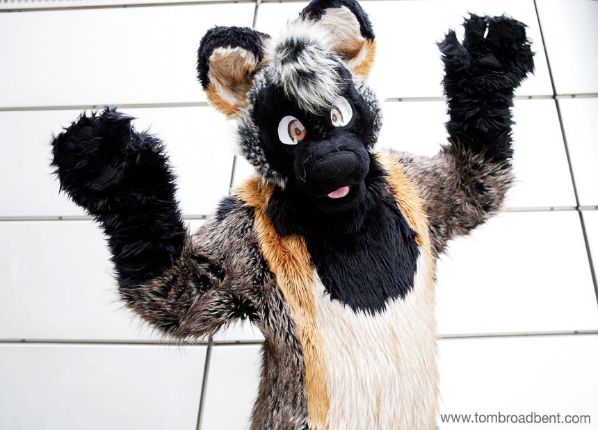 London Furries Winter Ball