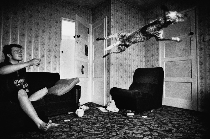 Dog chasing a Frisbee. Leiston, Suffolk. From the series and book: The British