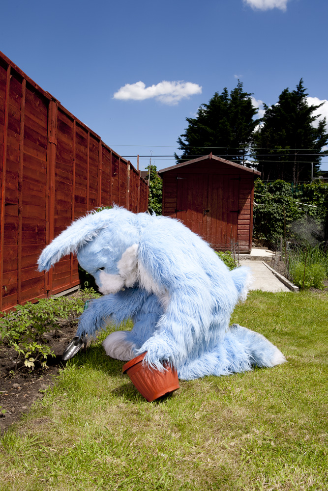 Bhavvels Bunny, doing a spot of gardening