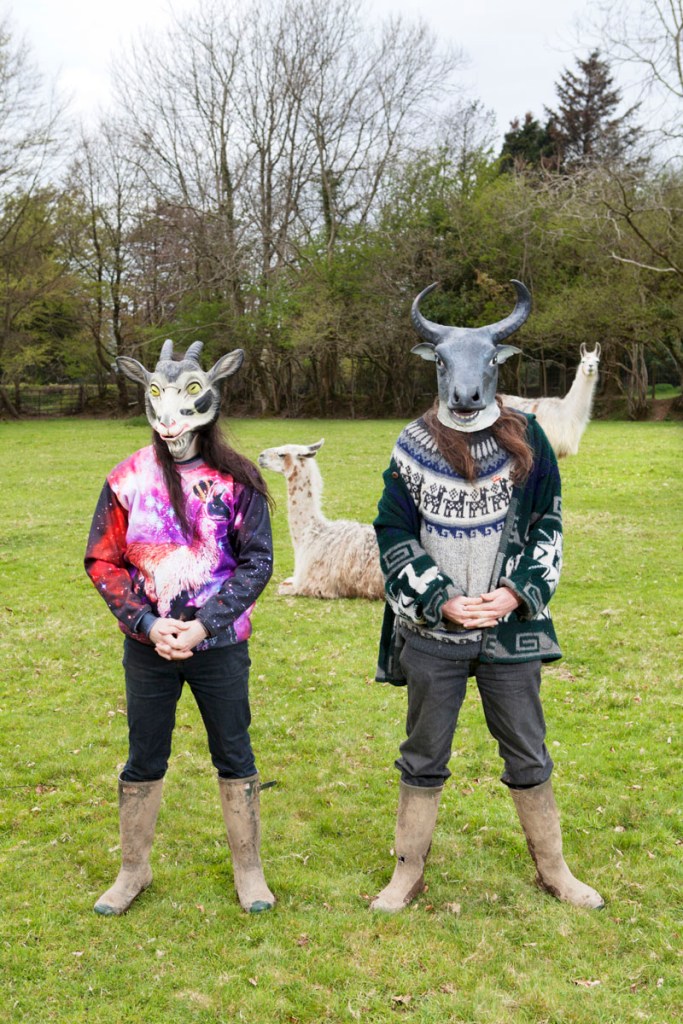 At Home With Llamasoft