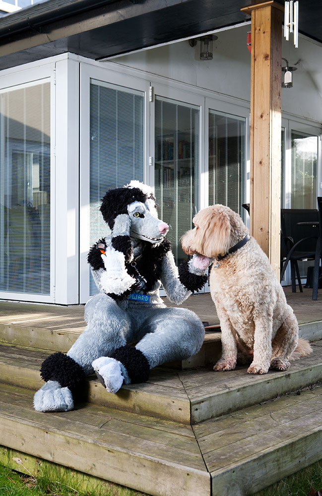 Edward Fuzzypaws and Teddy share a moment in their garden, Richmond, London