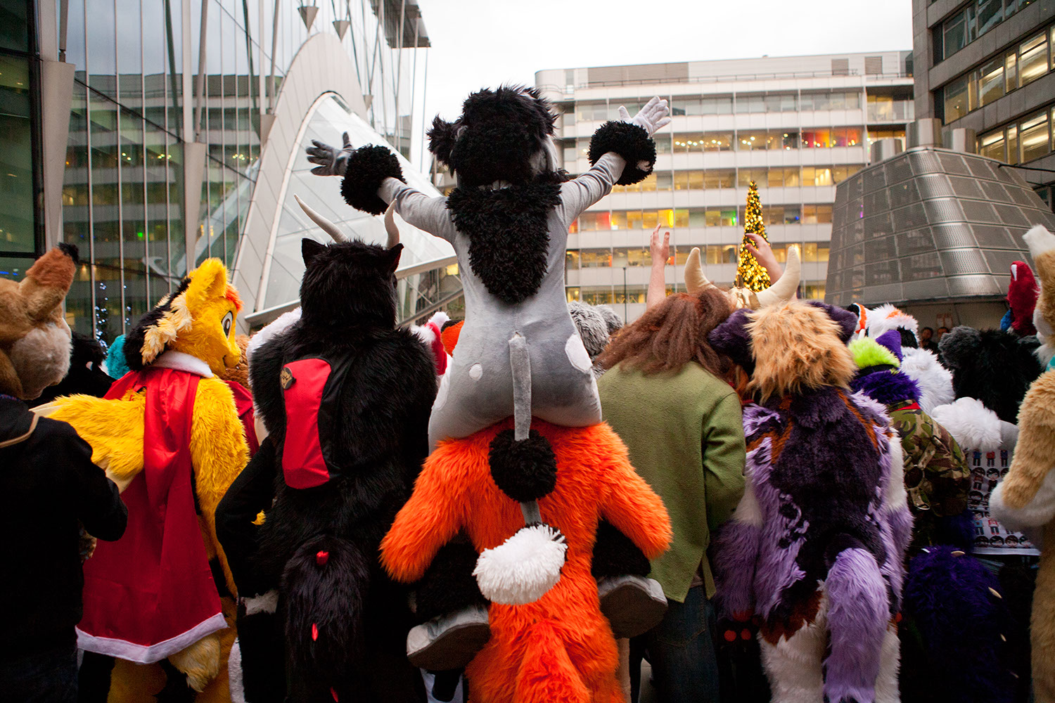 At Home With The Furries