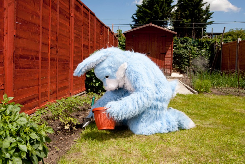 At Home With The Furries