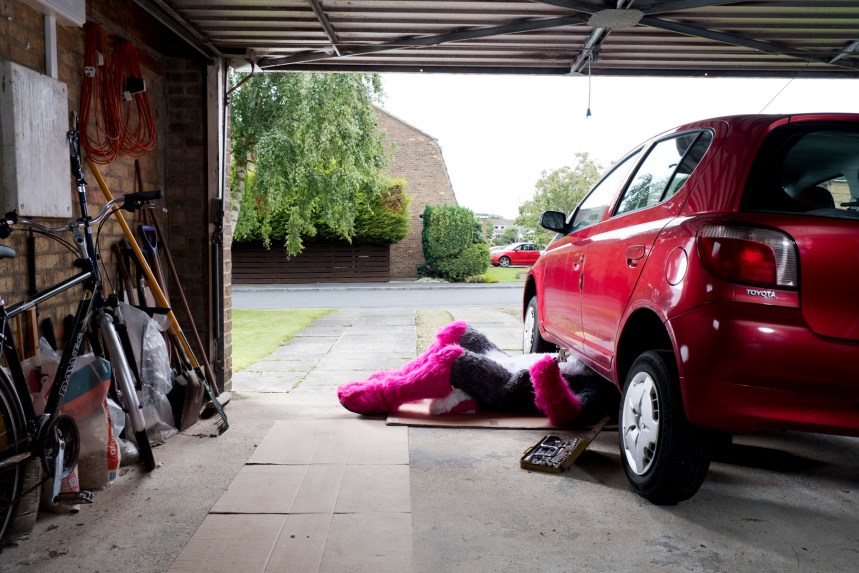 ©Tom Broadbent_Lupestripe-Wolf_carV2