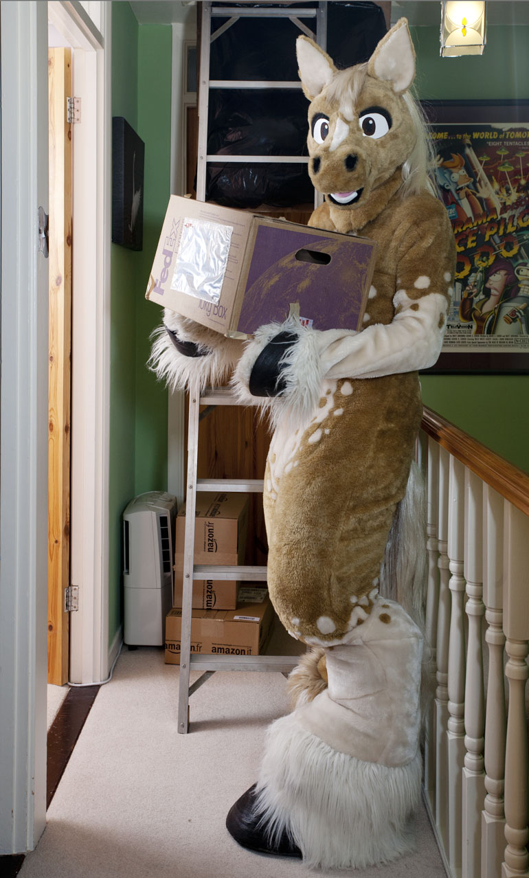 At Home With The Furries