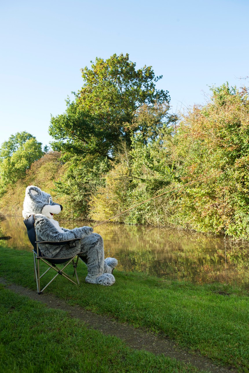 At Home With The Furries