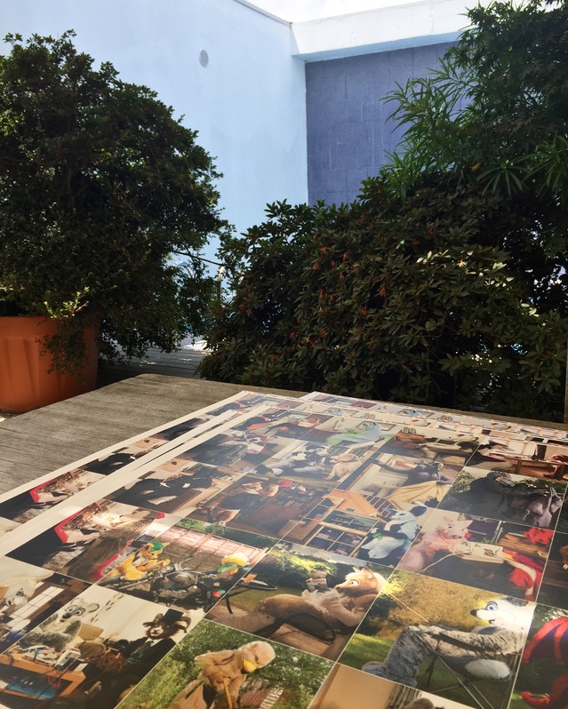 At Home With The Furries