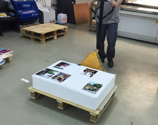 At Home With The Furries